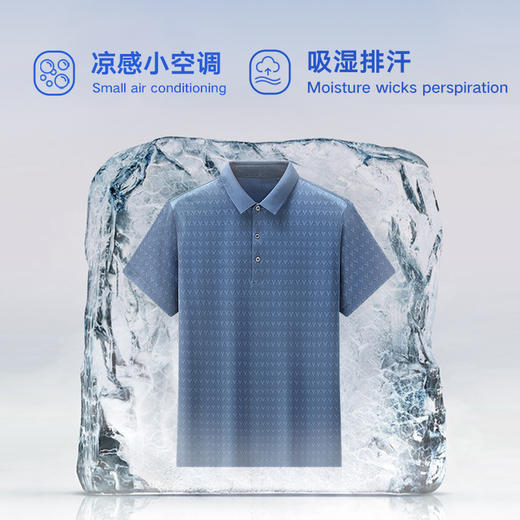 桑蚕丝【DWP】大依优型大码高品质短袖POLO衫翻领加肥加大男士大号弹力透气舒适 商品图2