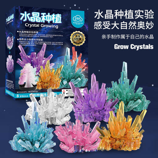 【科学小实验套装diy手工制作】水晶种植生长结晶，儿童玩具圣诞树亲子玩具 商品图0