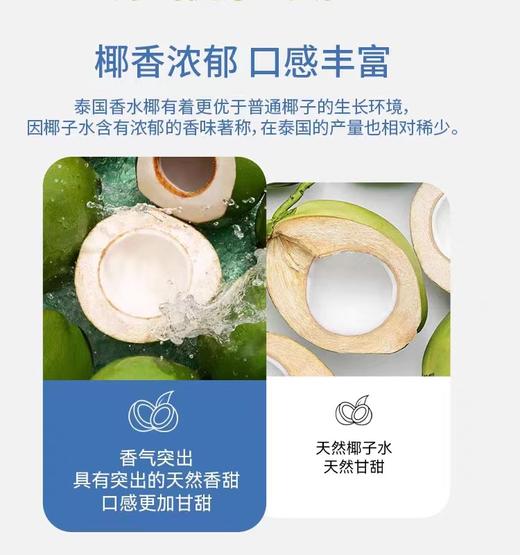 泰国if香水椰子水 商品图5