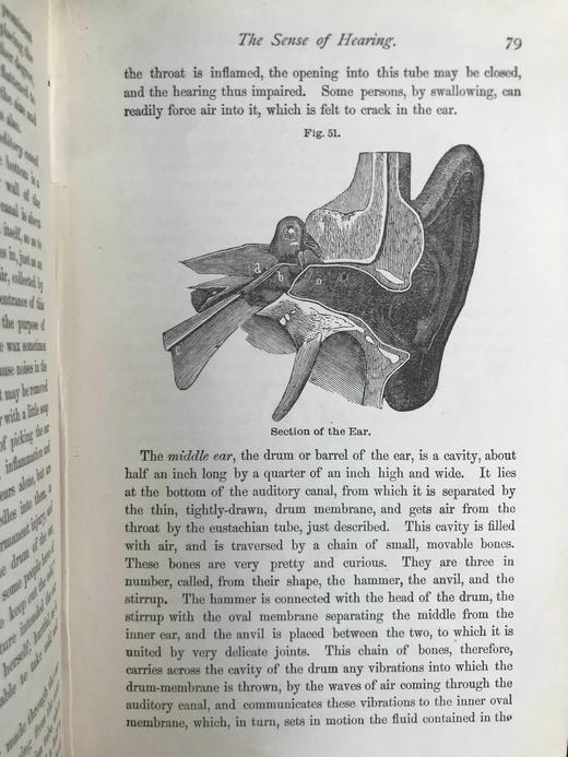 1883年大众医学手册 百余幅木版画插图 漆布精装32开 商品图6