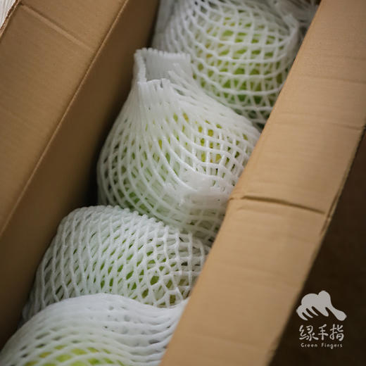 生态山西圆白菜（包菜） | 合作生产*Ecological Cabbage | Coproducted 商品图4