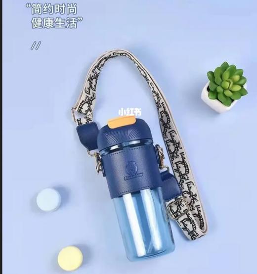 邻舍日用可斯贝随行杯3844-T1 540ML 商品图0