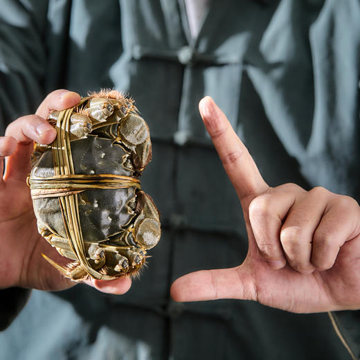 【礼券】丰澄鲜大闸蟹3688型礼券 公蟹4.5两/5只 母蟹3.0两/5只 商品图7