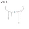 ZEGL水滴流苏项链女生轻奢小众2023新款爆款水晶锁骨链choker颈链 商品缩略图0