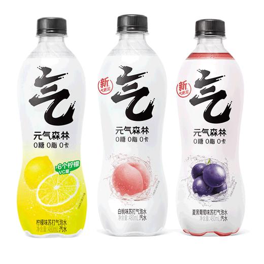 【7月专享】元气森林气泡水480ml15瓶 多口味 商品图7