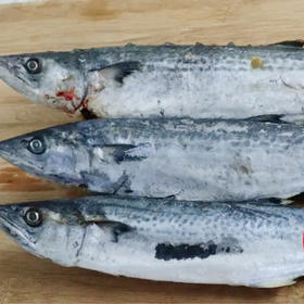 速冻7-9燕鱼(1000g±50g)