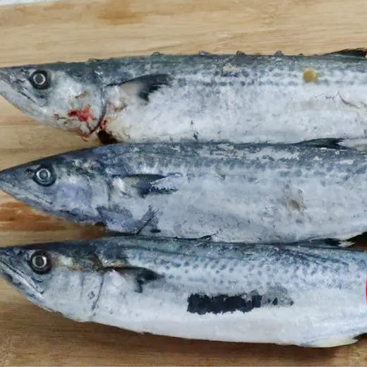 速冻7-9燕鱼(1000g±50g) 商品图0