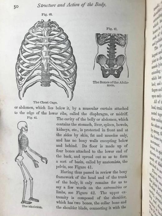 1883年大众医学手册 百余幅木版画插图 漆布精装32开 商品图8