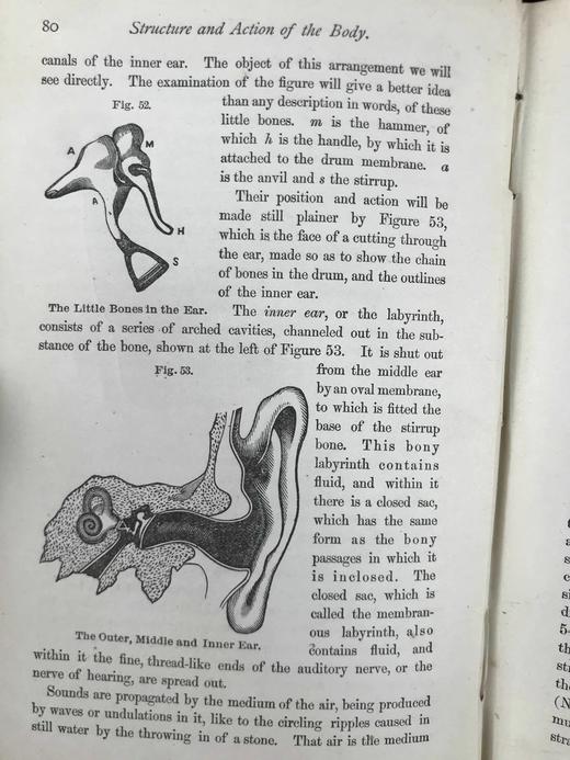 1883年大众医学手册 百余幅木版画插图 漆布精装32开 商品图5