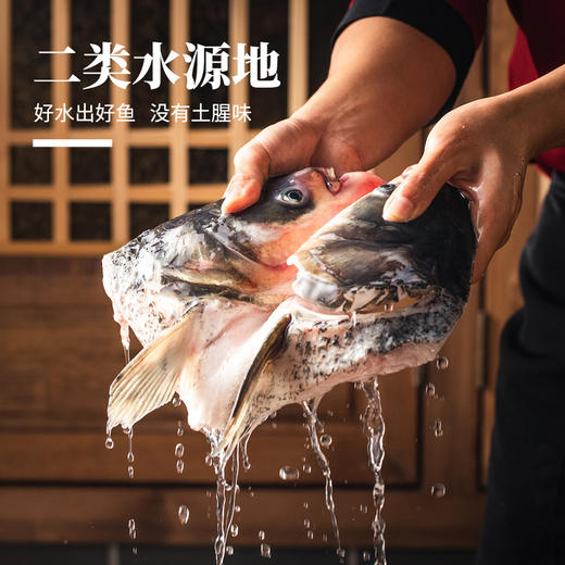 飘香鱼头鱼丸汤（鲢鱼）1.47kg/包  8包/箱 商品图2