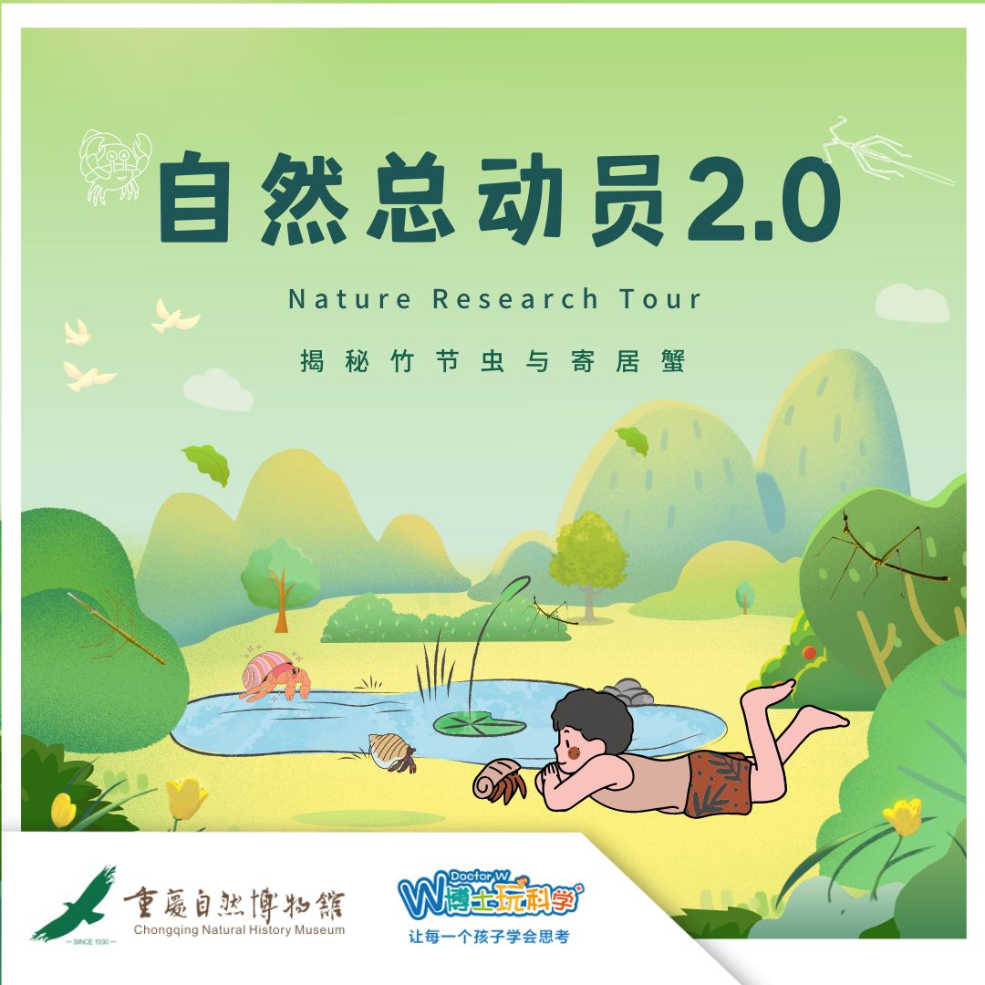 【重庆自然博物|暑期自然总动员2.0】