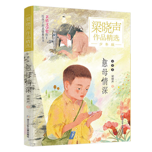种子的力量(少年版)/梁晓声作品精选 儿童推荐读物 商品图0