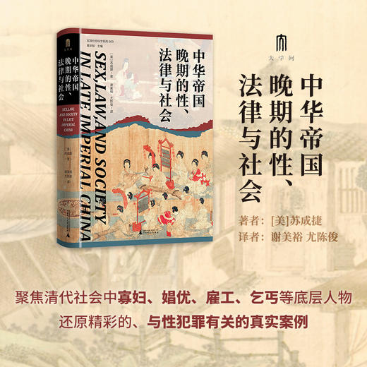 《中华帝国晚期的性、法律与社会》 商品图1