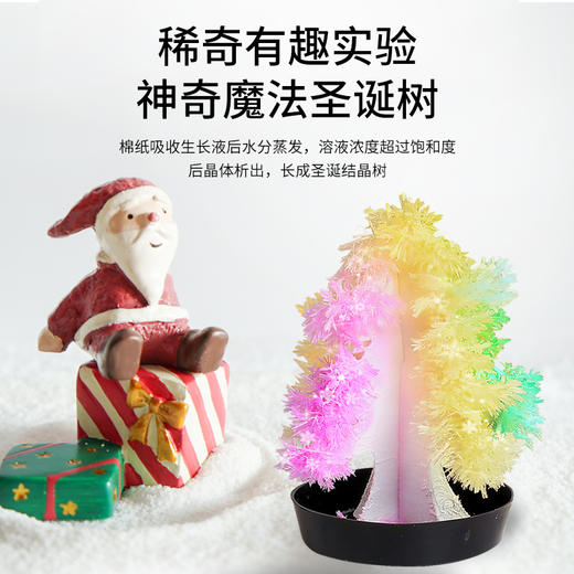 【科学小实验套装diy手工制作】水晶种植生长结晶，儿童玩具圣诞树亲子玩具 商品图3
