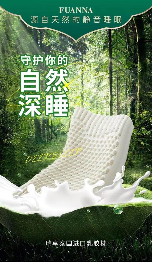 【富安娜】富安娜 B座7F 瑞享泰国进口乳胶枕 商品图1