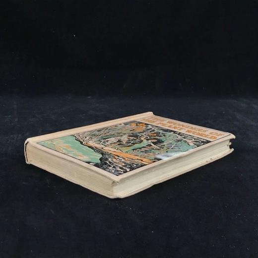 1918年 植物世界的奥妙 8幅插图 漆布精装32开 商品图1