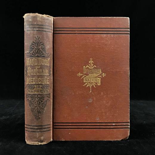 1883年大众医学手册 百余幅木版画插图 漆布精装32开 商品图0