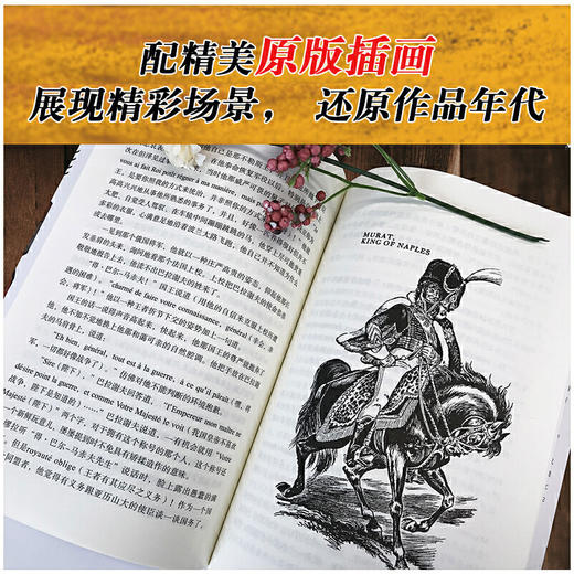 战争与和平（上中下）(经典新读) 商品图4