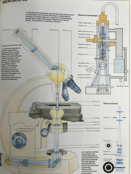 科学图解词典 34页插图 精装大16开 商品图12