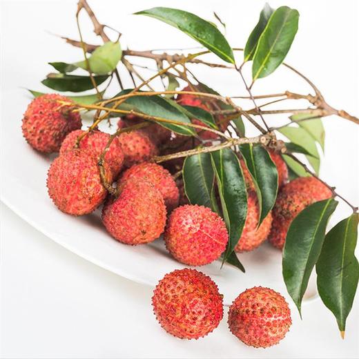 广东增城桂味荔枝1.5kg礼盒装 商品图2