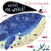 你好 鲸鱼先生 儿童绘本故事纸板书 英文原版 Hello  Mr Whale! 商品缩略图0