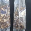 野生香菇 商品缩略图3