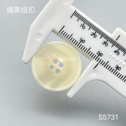 S5731(整包购买) 商品图4