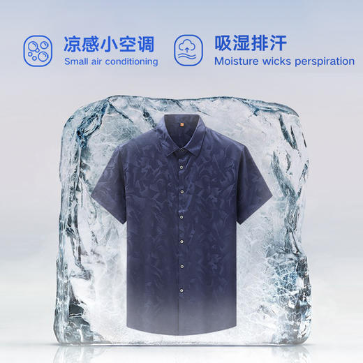 【顺丰】桑蚕丝【新款DWP】大依优型大码高品质短袖衬衫翻领加肥加大男士大号弹力透气舒适 商品图2