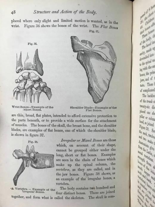 1883年大众医学手册 百余幅木版画插图 漆布精装32开 商品图9