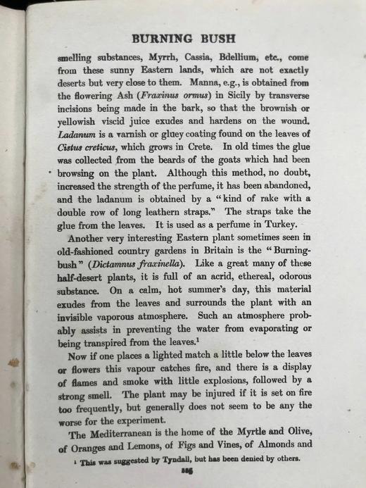 1918年 植物世界的奥妙 8幅插图 漆布精装32开 商品图11