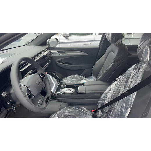 极狐 阿尔法T 480S 175KW【长租-北京】 商品图4