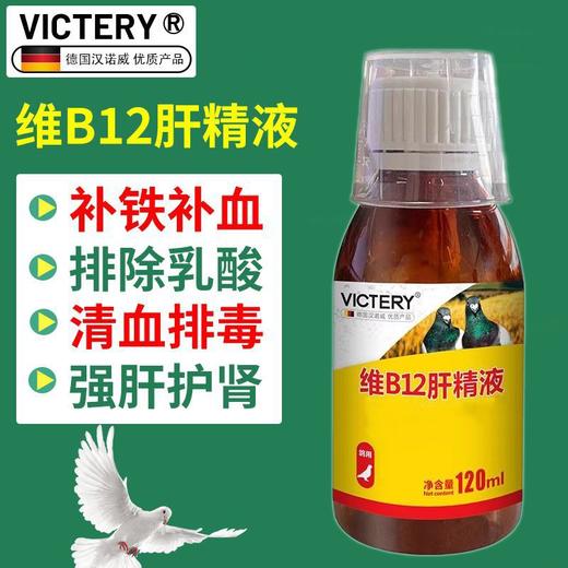 汉诺威【维B12肝精】120ml 商品图0