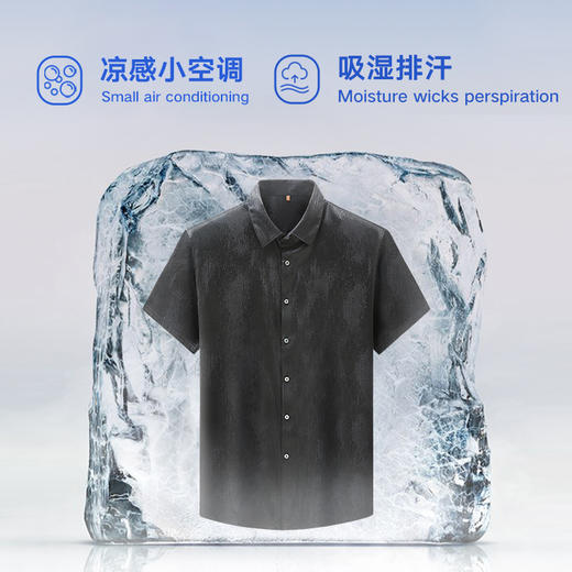 【顺丰】桑蚕丝【新款DWP】大依优型大码高品质短袖衬衫翻领加肥加大男士大号弹力透气舒适 商品图2