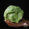 生态山西圆白菜（包菜） | 合作生产*Ecological Cabbage | Coproducted 商品缩略图3