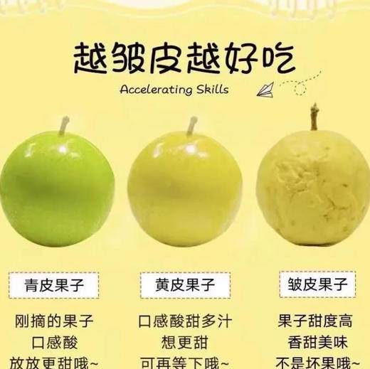 钦蜜9号百香果 现摘现发，百香果界的LV---钦蜜百香果 甜度是紫果的5倍 果汁含量45% 酸甜比1:9 商品图3