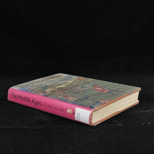 中世纪简明百科全书 250幅插图 精装16开 商品图1