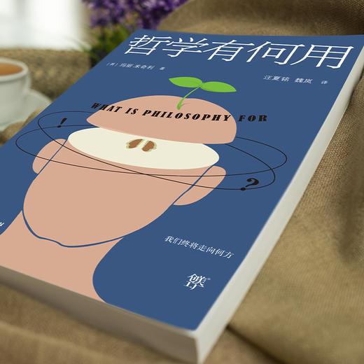 哲学有何用（享誉世界的50位在世哲学家玛丽.米奇利经典之作，直面当下人类思想焦虑和困惑） 商品图2