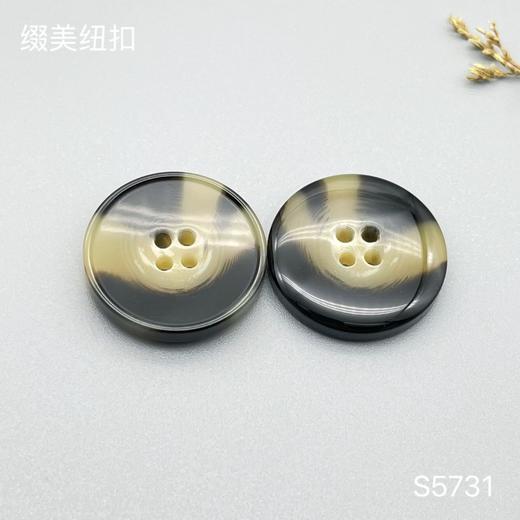 S5731(整包购买) 商品图2