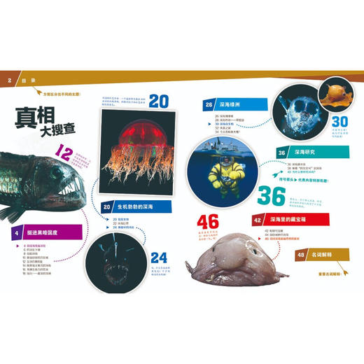 深海之谜 7-14岁 曼弗雷德·鲍尔 著 科普百科 商品图0