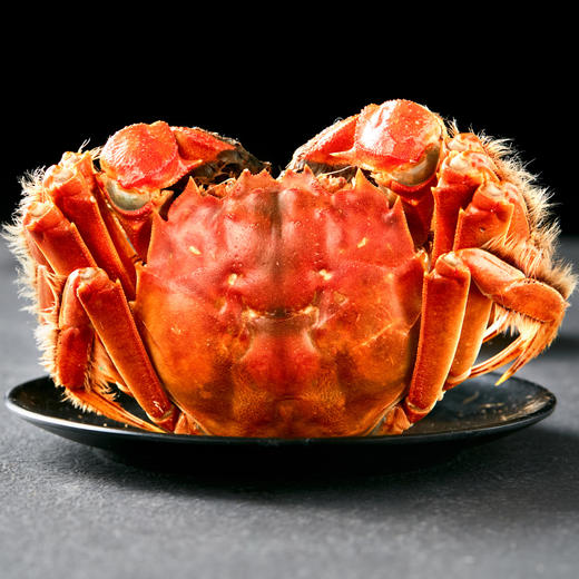 【礼券】丰澄鲜大闸蟹3188型礼券 公蟹4.5两/4只 母蟹3.5两/4只 商品图2