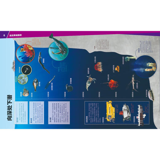 深海之谜 7-14岁 曼弗雷德·鲍尔 著 科普百科 商品图2