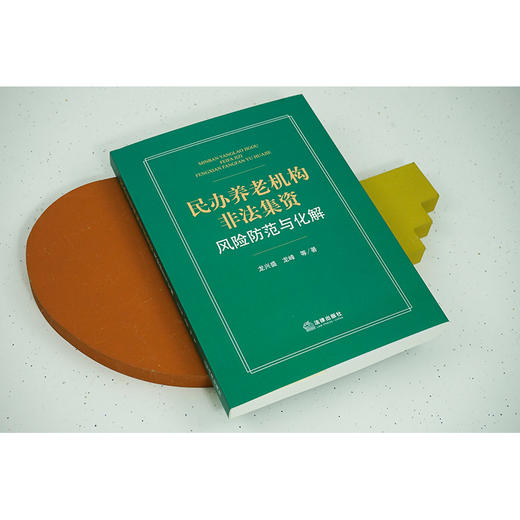 民办养老机构非法集资风险防范与化解 龙兴盛 龙峰等著 商品图2