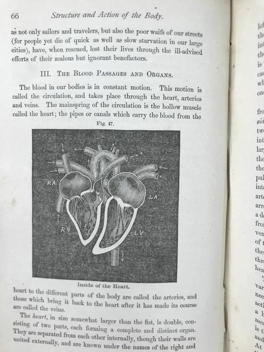 1883年大众医学手册 百余幅木版画插图 漆布精装32开 商品图7
