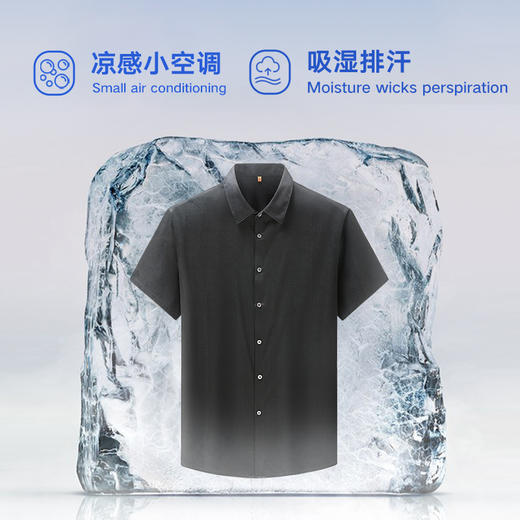 【顺丰】桑蚕丝【新款DWP】大依优型大码高品质短袖衬衫翻领加肥加大男士大号弹力透气舒适 商品图2