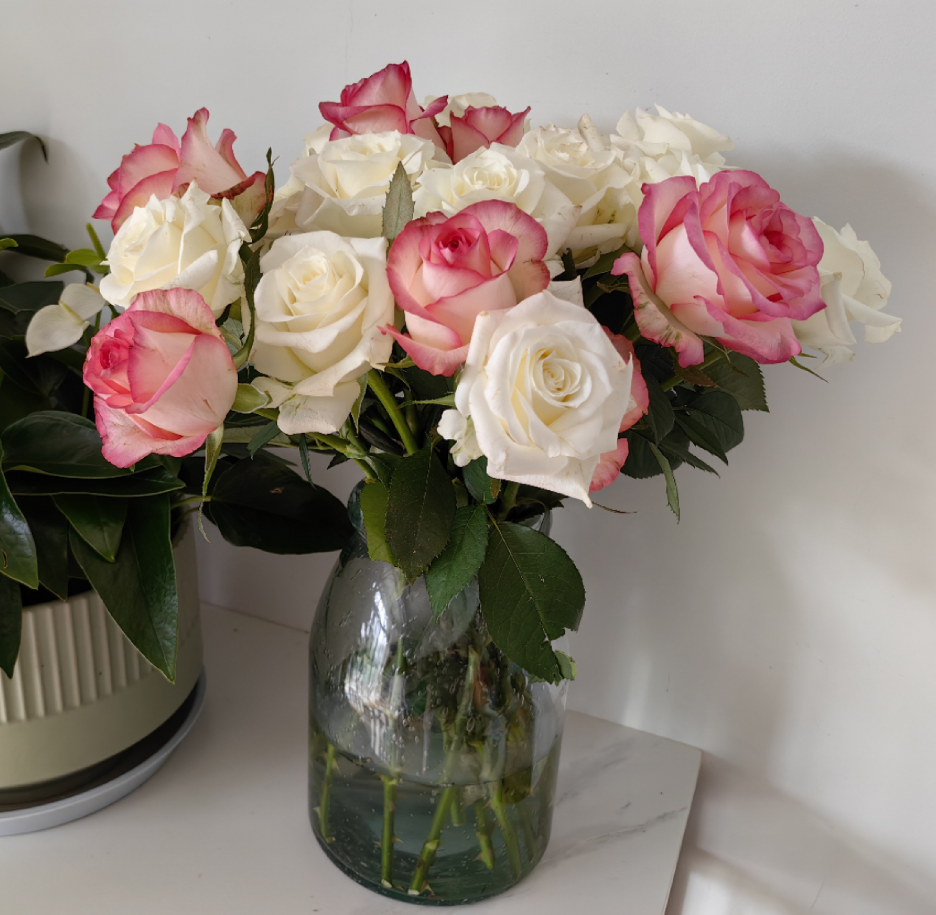 玫瑰/20朵（不刷饭卡）