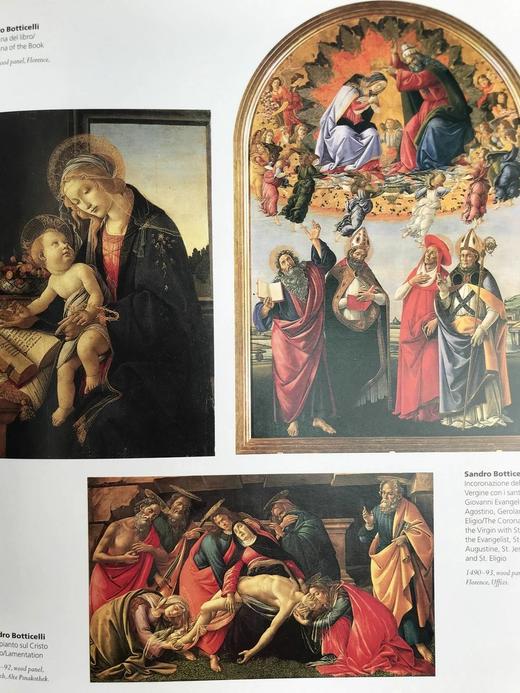 意大利绘画 500余幅彩色插图 精装大16开 商品图13