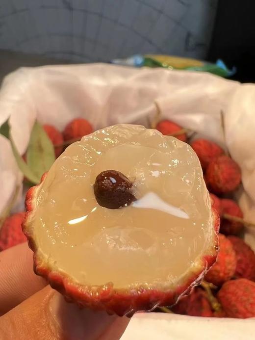 荔枝届天花板！专奉康熙贡品【仙进奉】！ 商品图2