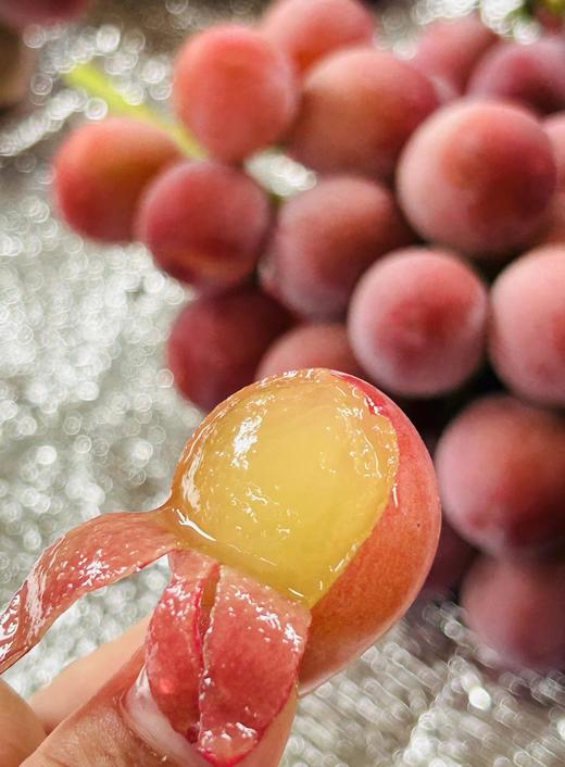 贵族葡萄双拼！【阳光玫瑰+妮娜皇后】送礼首选！ 大理宾川葡萄 享受多重舌尖体验 商品图5