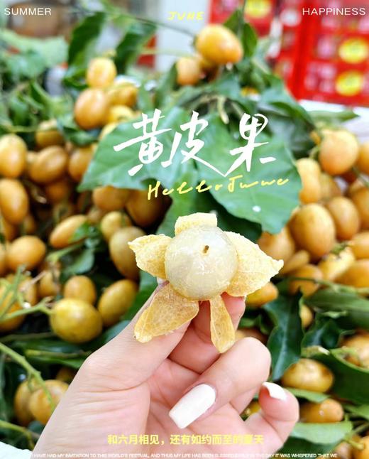 黄皮果（鸡心黄皮果，广东正气果、酸甜可口，消积消气、消食健胃） 商品图1