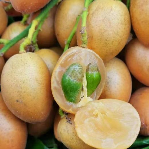 高州鸡心黄皮果   （含枝果）3斤/4.5斤装 商品图2